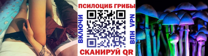 Галлюциногенные грибы MAGIC MUSHROOMS  Купить закладки  Юрюзань 